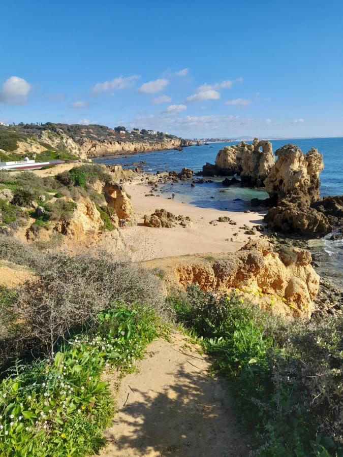 Tropicana One Bedroom Flat T1 In Albufeira Gale Close To 8 Beaches Экстерьер фото